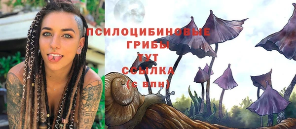 крисы Володарск